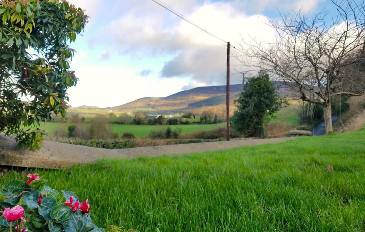 Enchanted Cottage Mullaghbane Екстер'єр фото